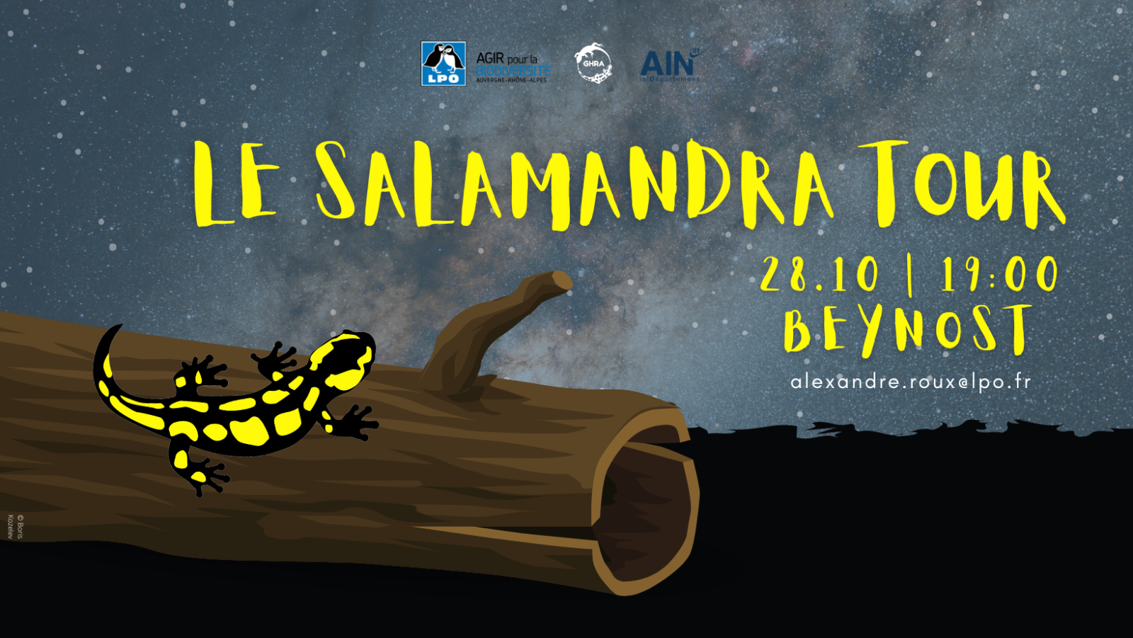 Le Salamandra Tour Beynost LPO Auvergne Rhône Alpes