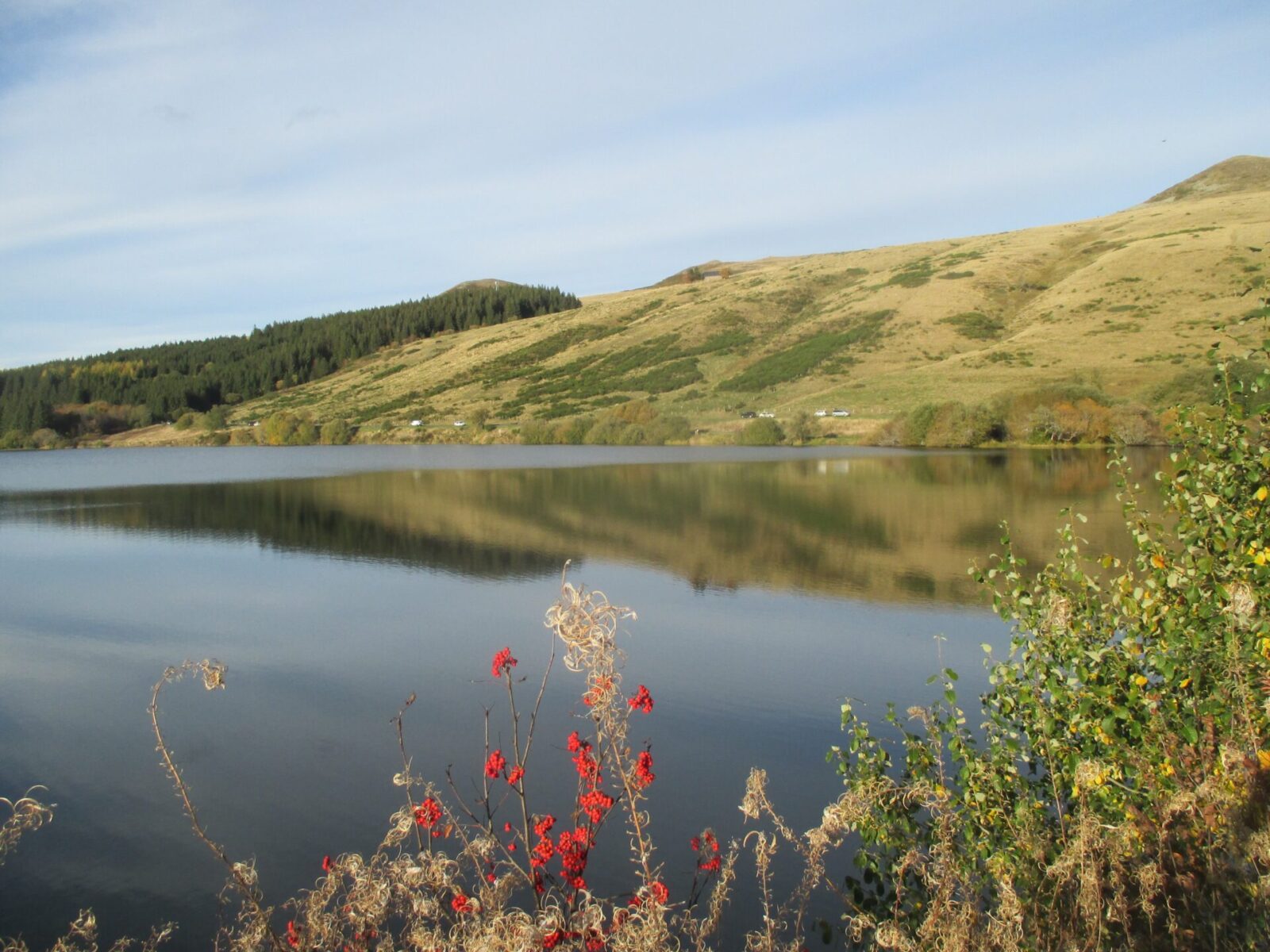 Comité Naturaliste Auvergne LPO Auvergne Rhône Alpes