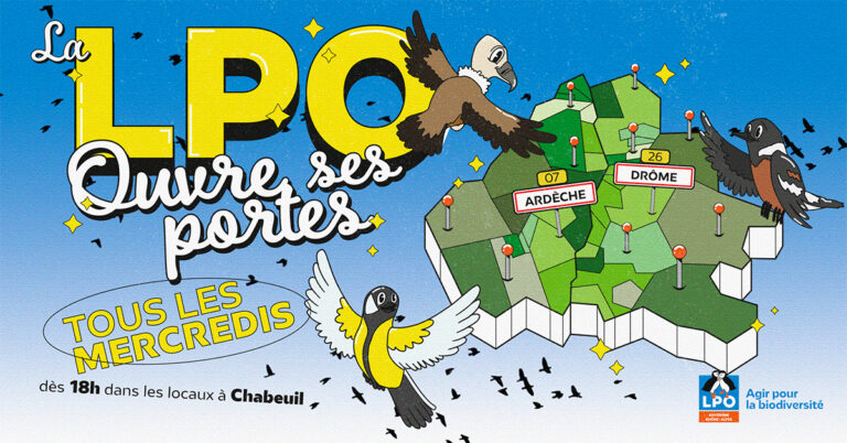 Carte Drôme-Ardèche stylisée, trois oiseaux dessinés qui s'y intéressent et texte : "La LPO ouvre ses portes tous les mercredis dès 18h dans les locaux de Chabeuil"
