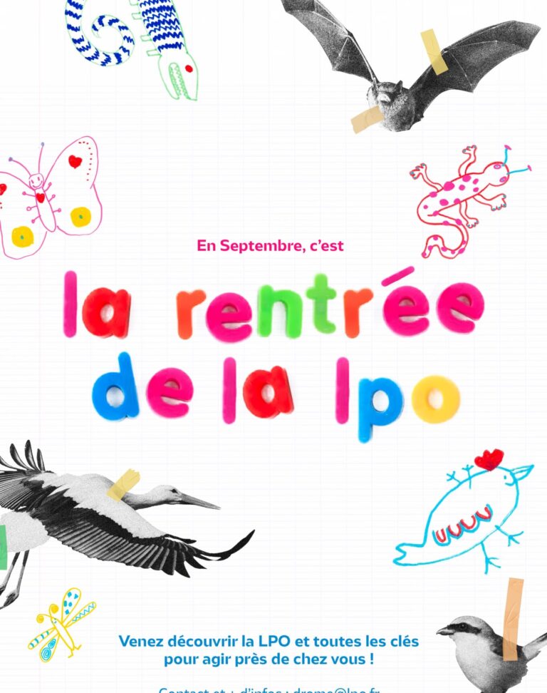 Affiche de la rentrée de la LPO Drôme-Ardèche