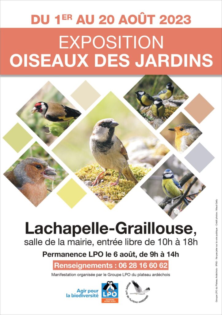 Affiche de l'exposition sur les oiseaux des jardins