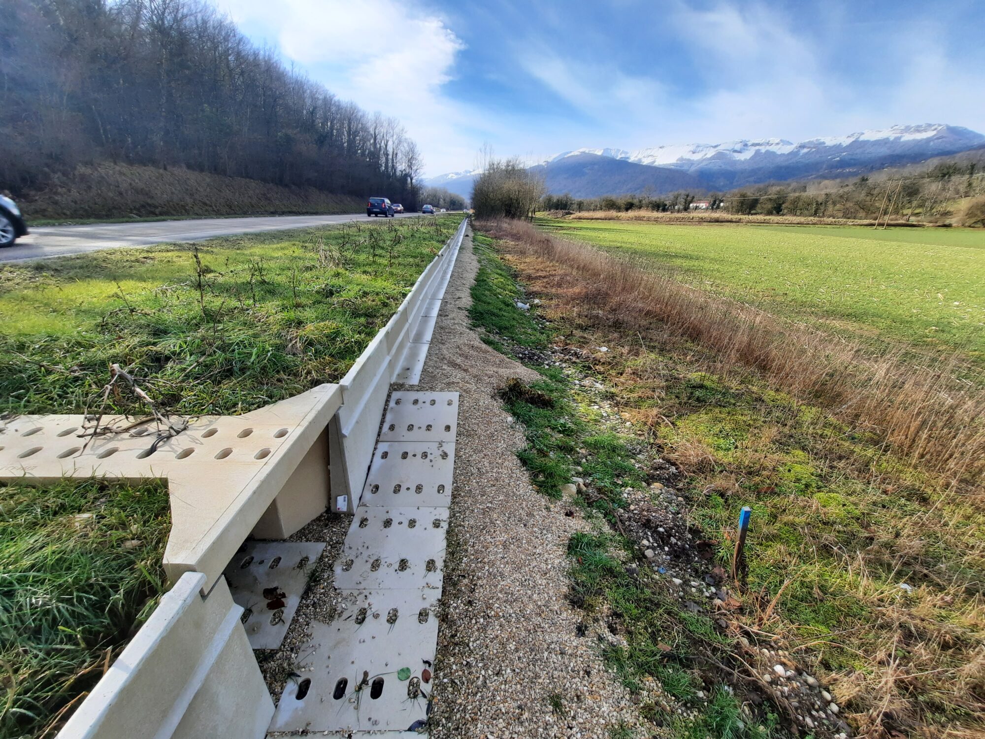 Crapauduc de Vesancy