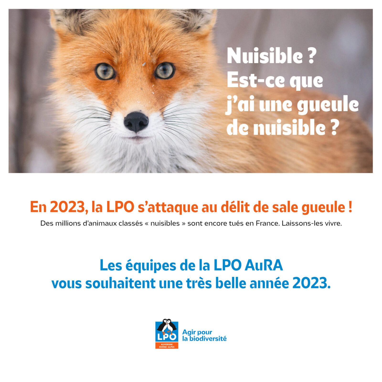 202301_voeux-2023_mobile