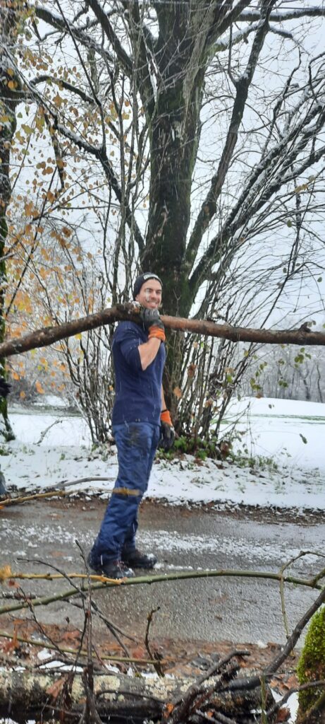 Un bénévole portant une grosse branche sous la neige