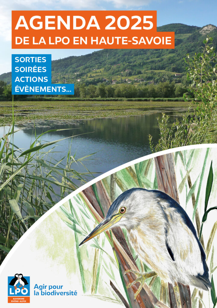 Agenda 2025 de la LPO en Haute-Savoie Sorties, soirées, actions, évènements...