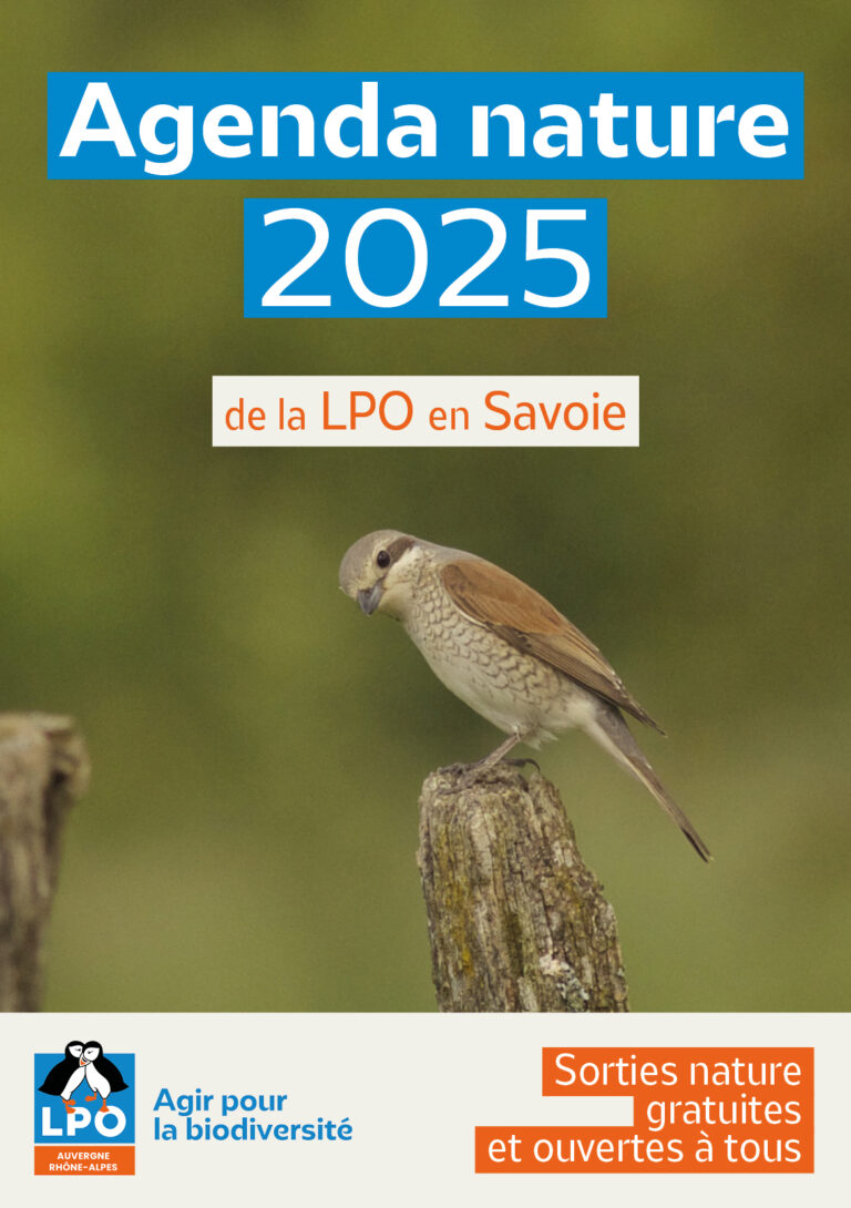 Agenda nature 2025 de la LPO en Savoie Sorties nature gratuites et ouvertes à tous