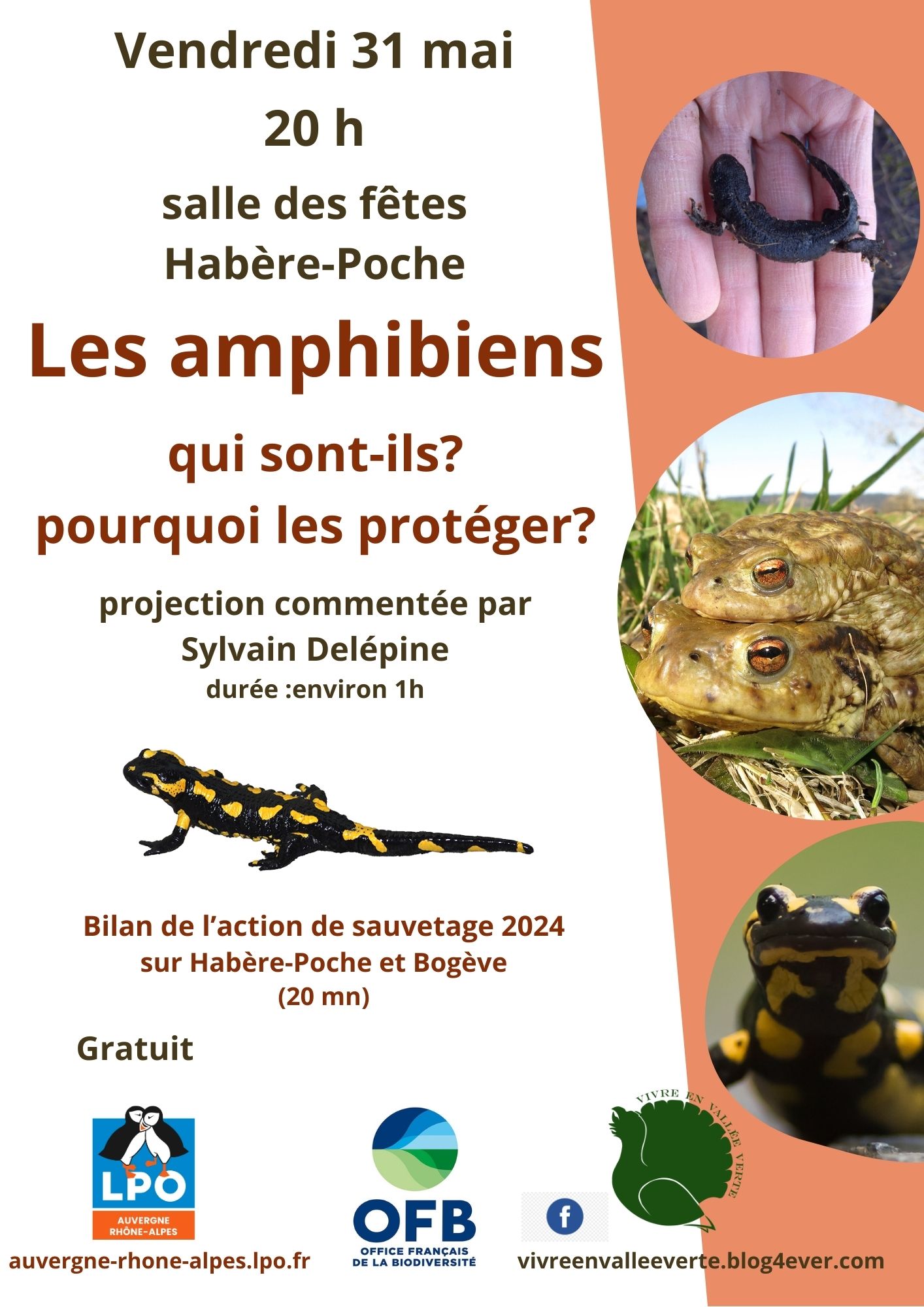 Vendredi 31 mai - 20h Salle des fêtes - Habère-Poche Les amphibiens