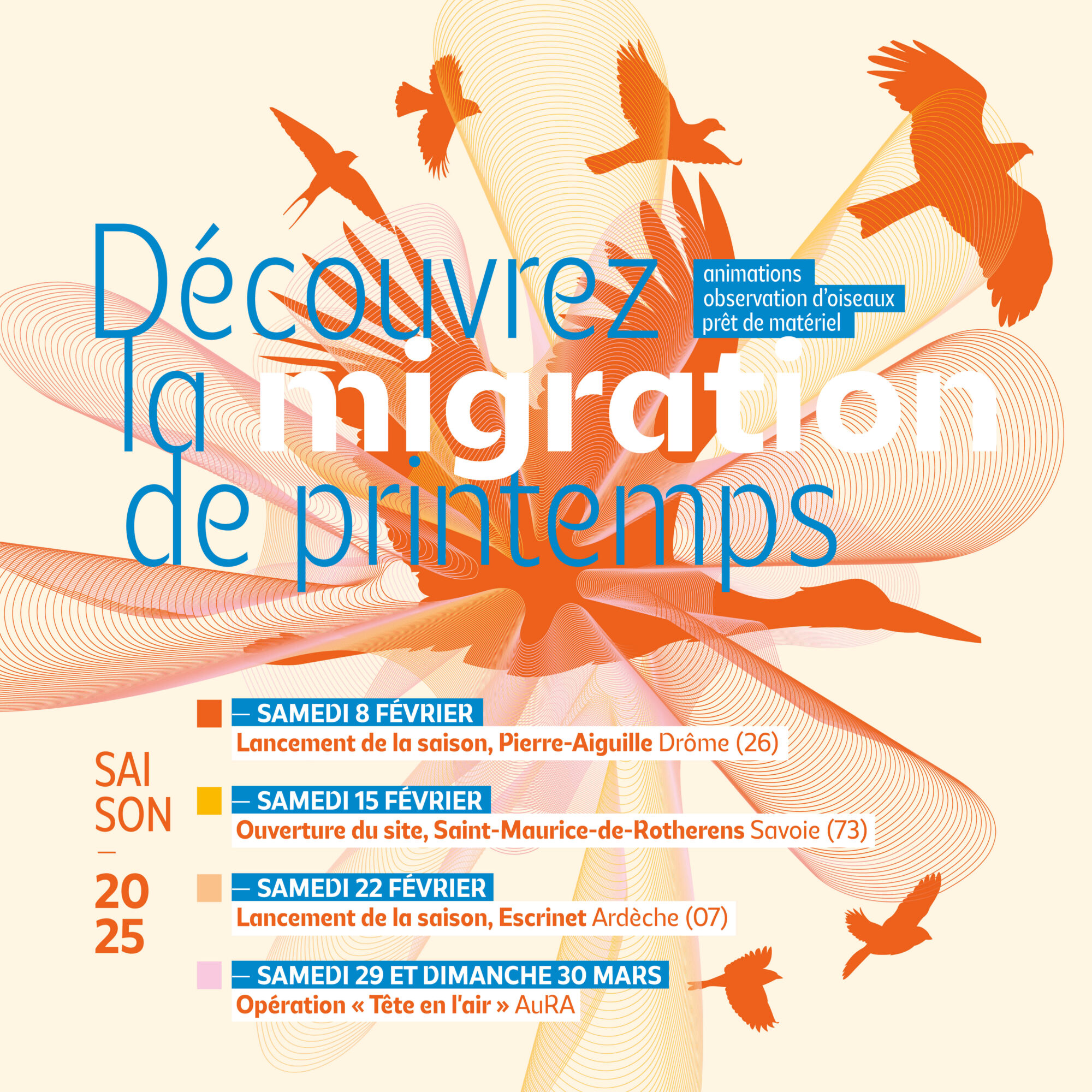 Migration de printemps_1200x1200