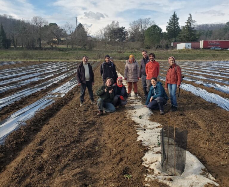 Chantier plantation de haies à Peyrins