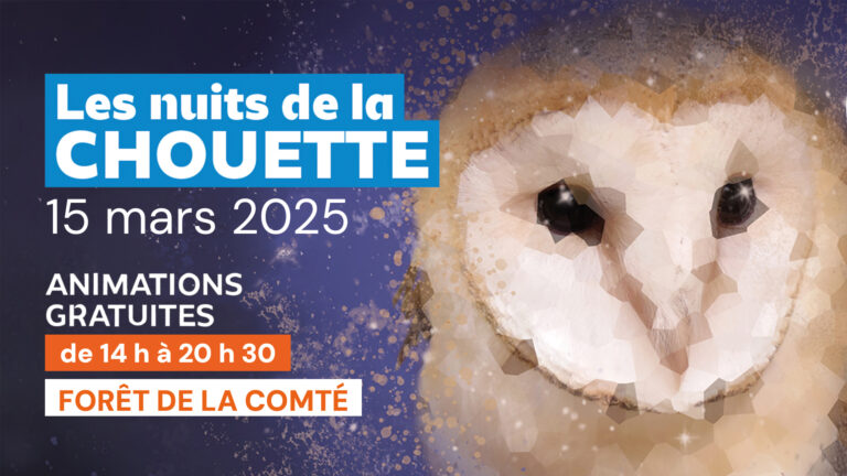 Nuit de la chouette 2025