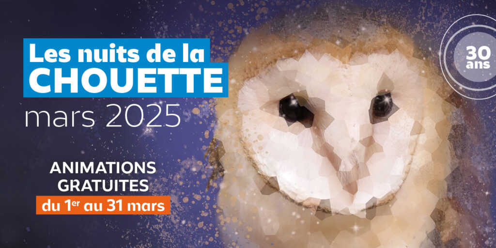 Nuits de la chouette 2025