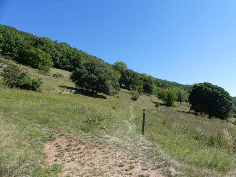 Un chemin sur le flanc du Salève