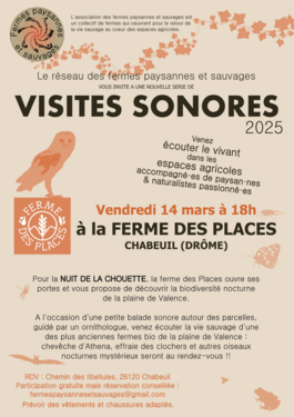 Affiche Visites sonores 2025