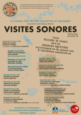 Affiche Visites sonores 2025