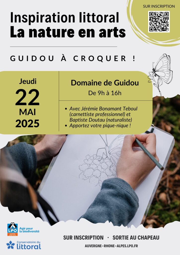 Inspiration littoral La nature en arts Guidou à croquer 22.05