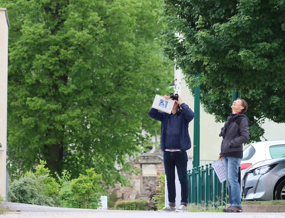 Comptage hirondelles © Martine Desmolles
