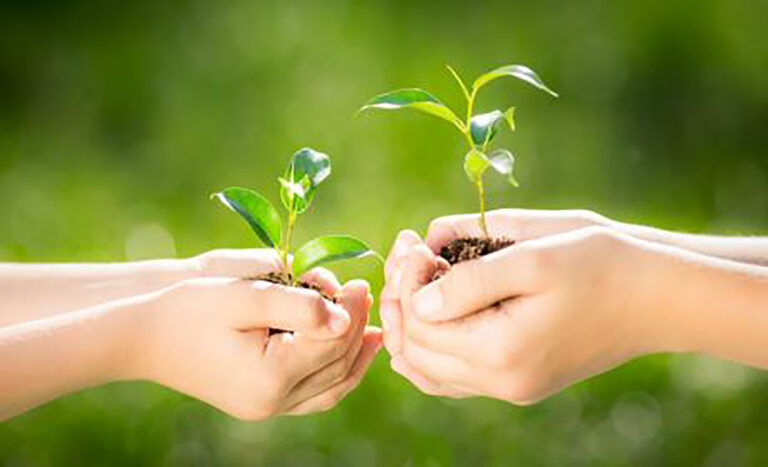 Troc plants