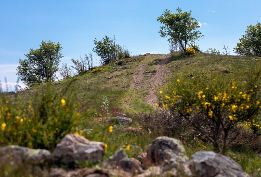 ENS Landes du Beaujolais