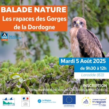 Affiche balade nature Gorges de la Dordogne - 5 août 2025