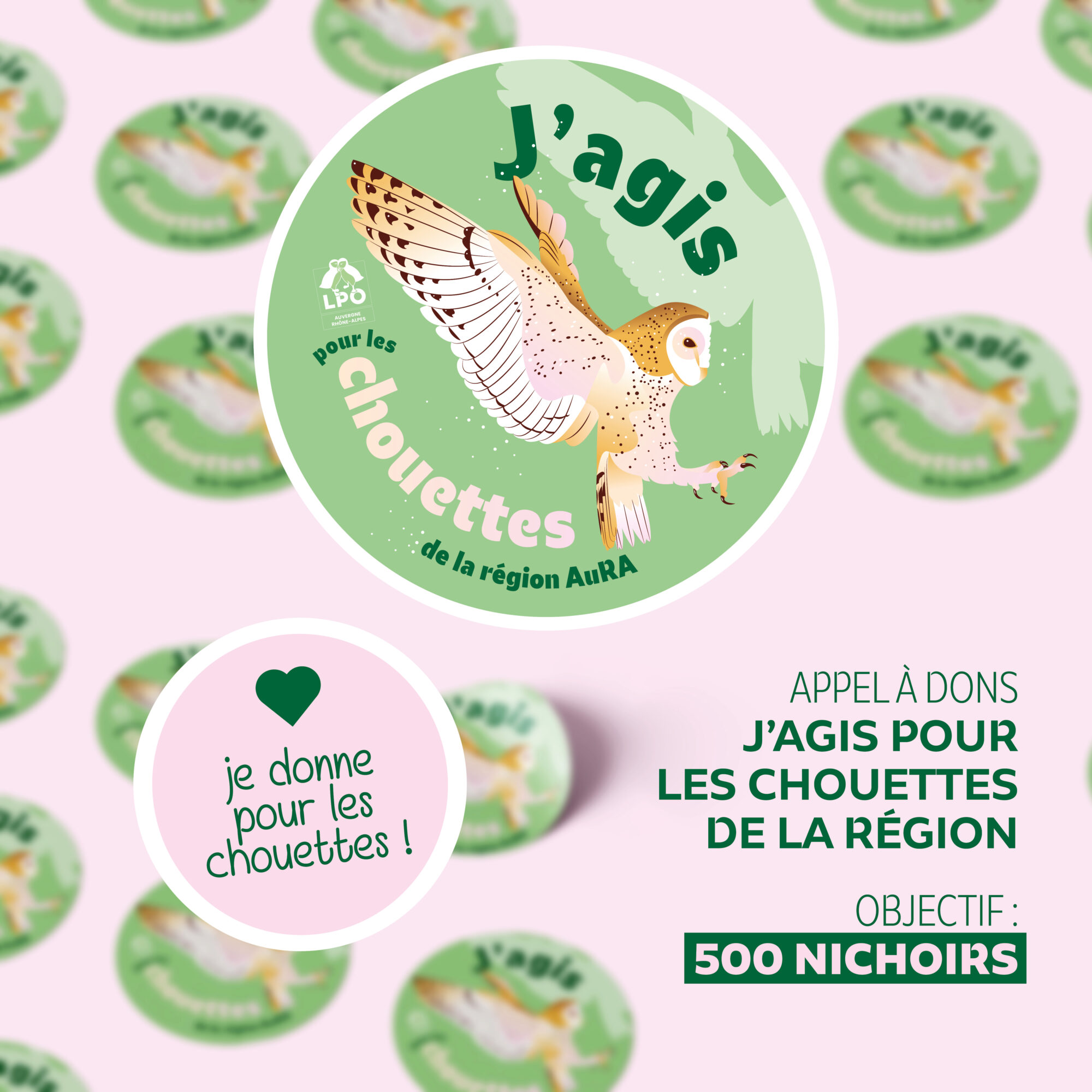Bandeau site internet2_chouettes