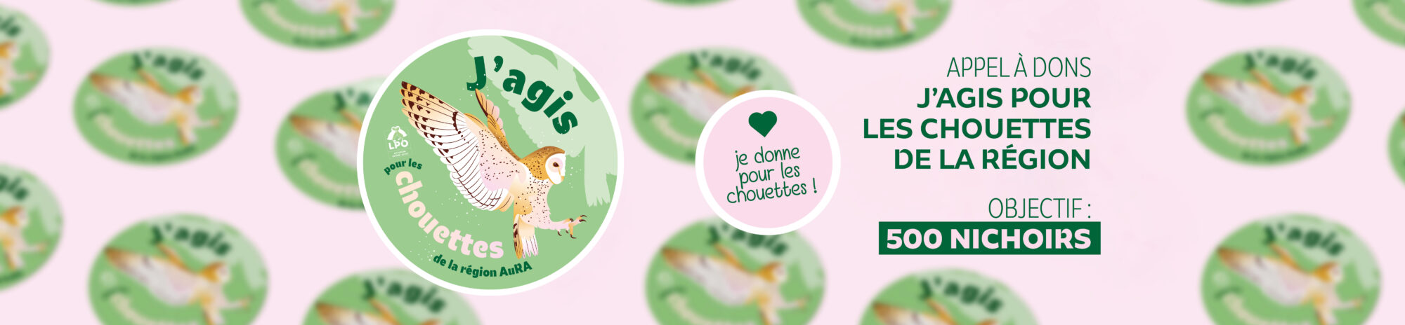 Bandeau site internet_chouettes