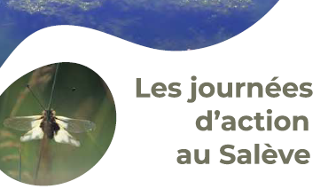 Les journées d'action au Salève