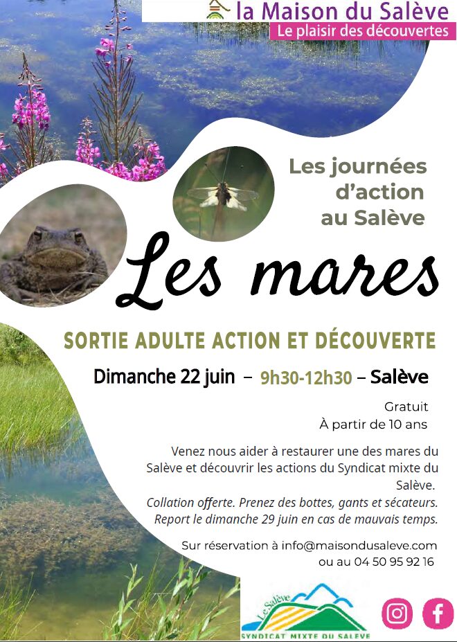 Les journées d'action au Salève : les mares