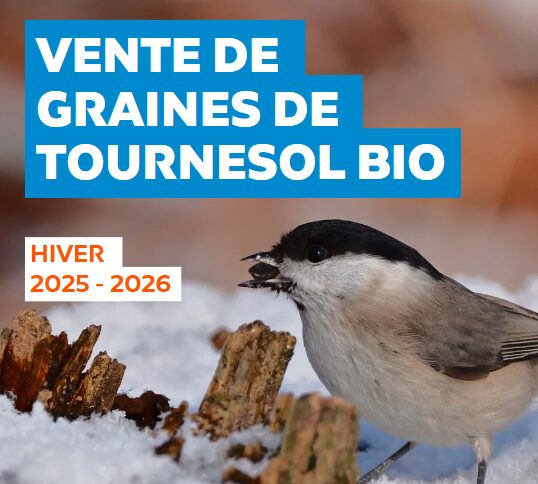 Vente de graines de tournesol bio
Hiver 2025-2026