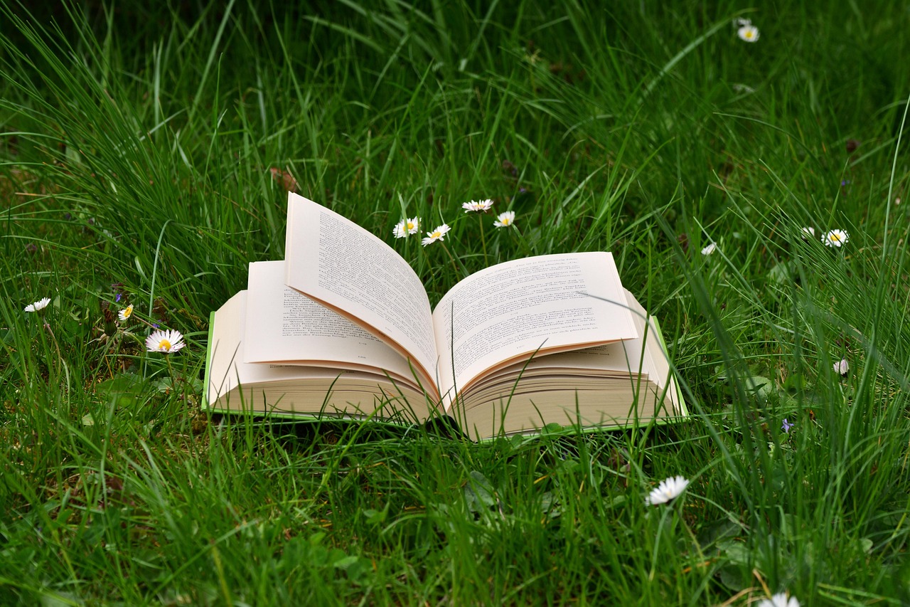 Un livre posé dans l'herbe