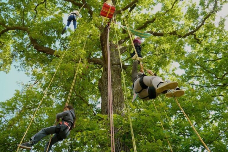 Atelier de grimpe dans les arbres