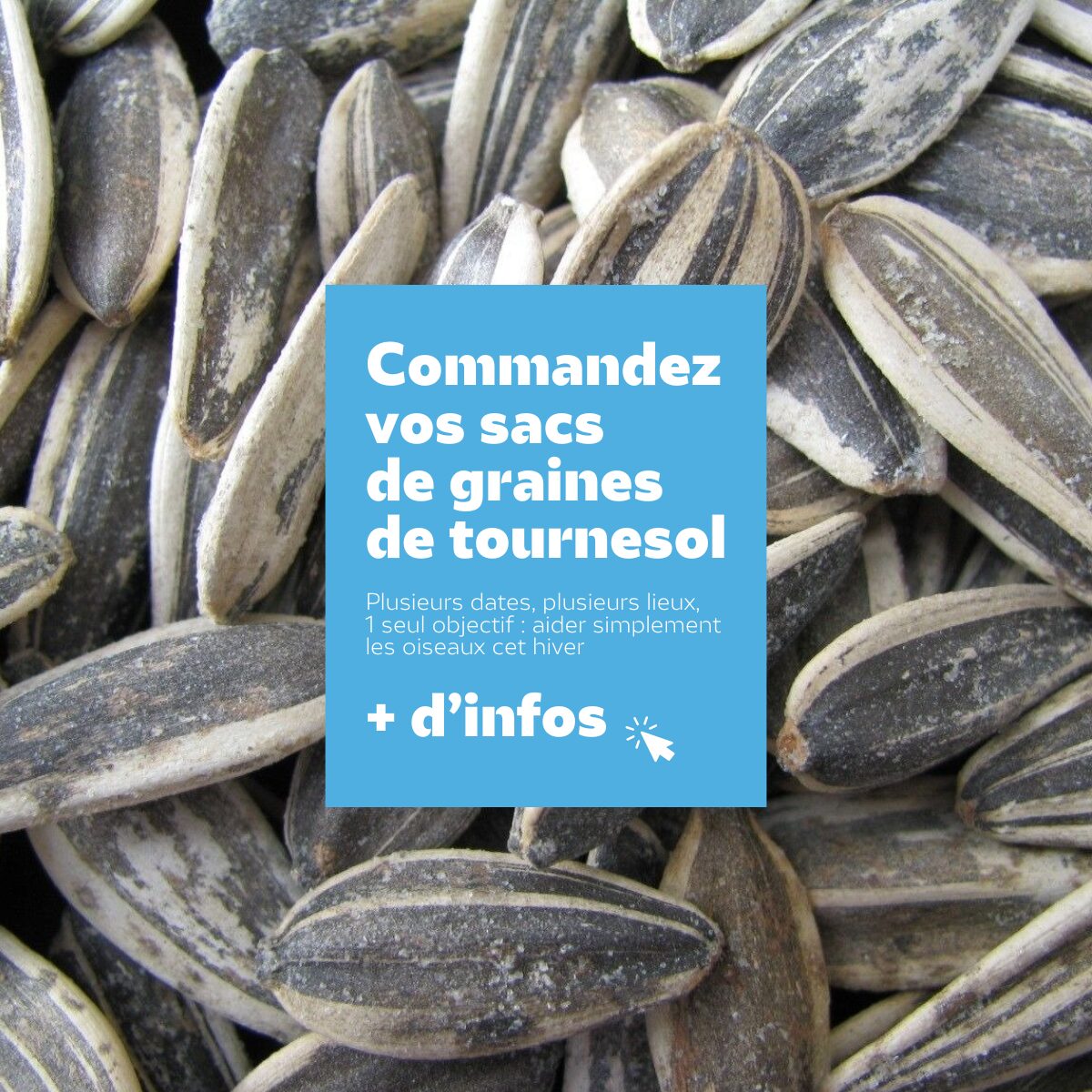 SITE MOBILE_Bandeaux homepage_graines