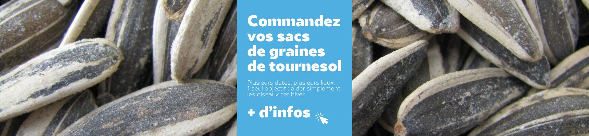 SITE_Bandeaux homepage_graines