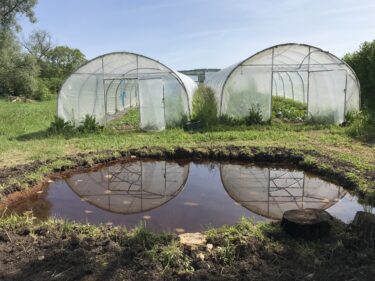 Chantier mare au Jardins du Muscardin, Puy-de-Dôme