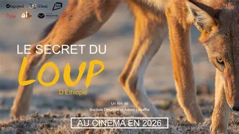 Le secret du loup - Baptiste Deturche