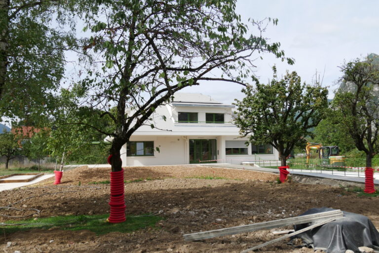 Maison blanche avec deux arbres devant