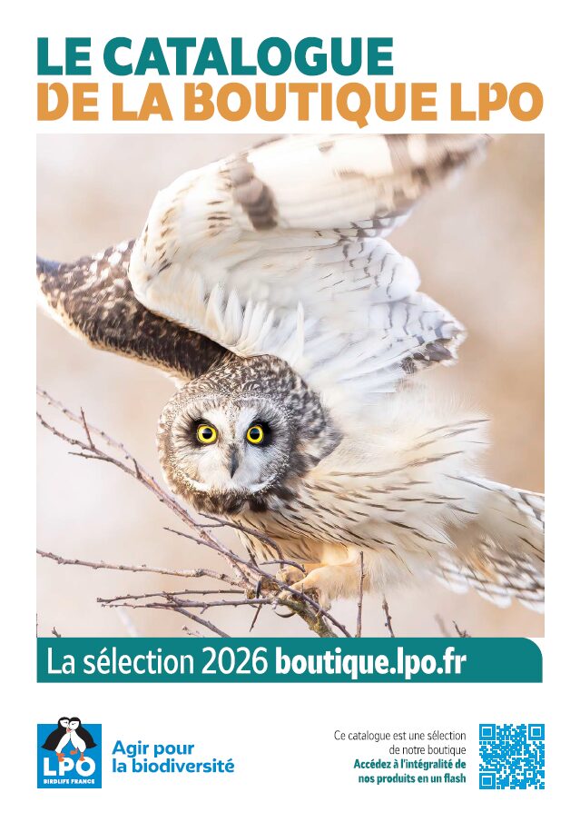 catalogue 26 boutique