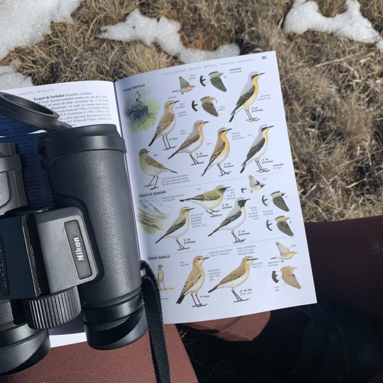 Guide ornitho