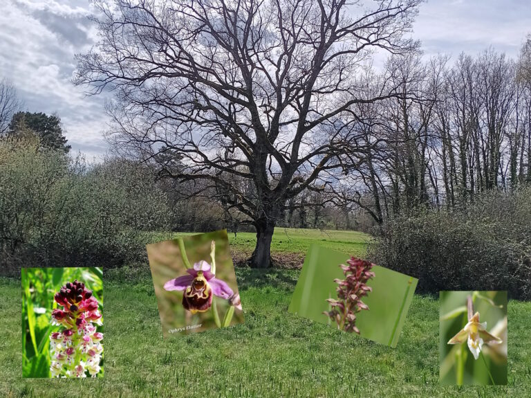 chantier au domaine de guidou