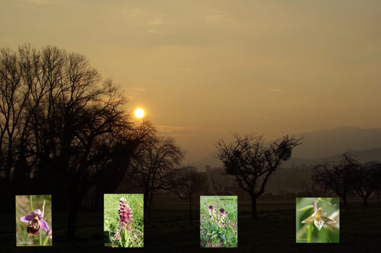 chantier au domaine de guidou