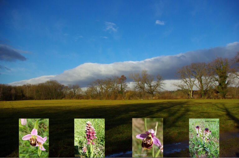 chantier au domaine de guidou