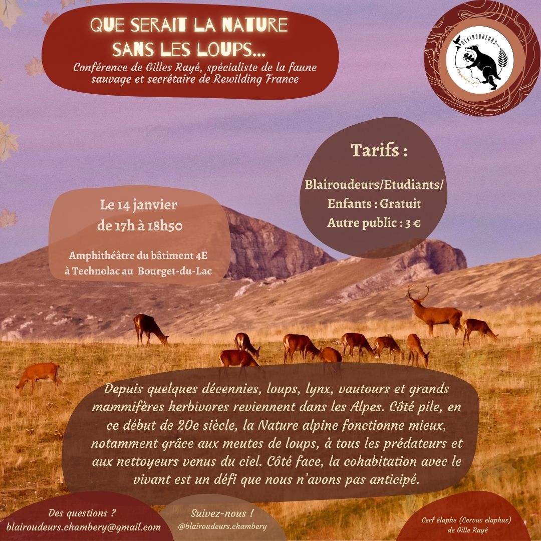 Conférence : que serait la nature sans les loups ?