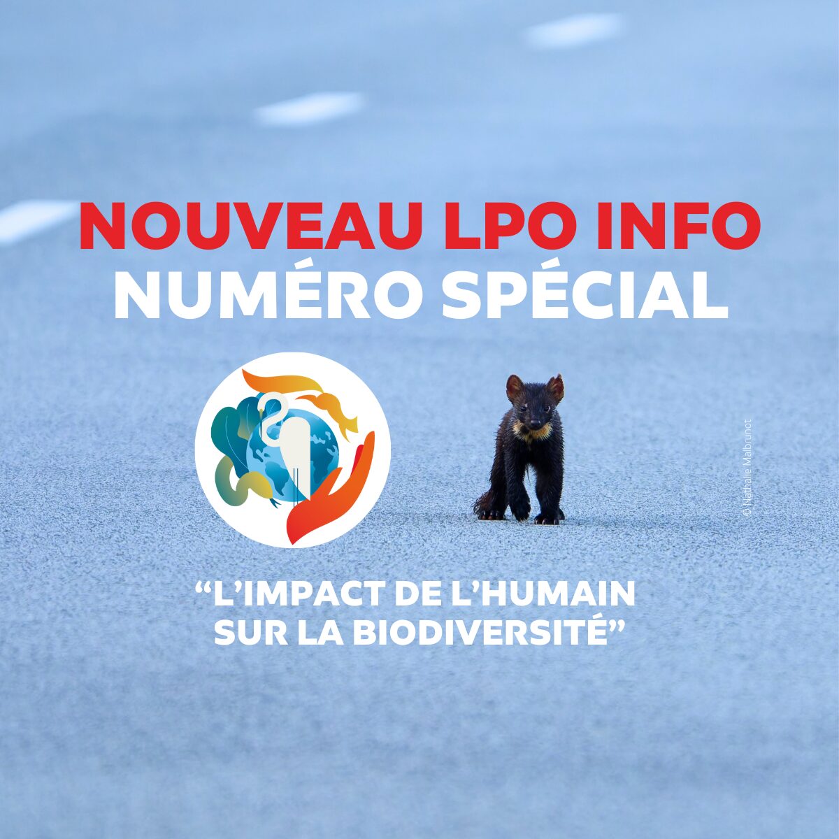 SITE MOBILE_Bandeaux homepage LPO Info 19