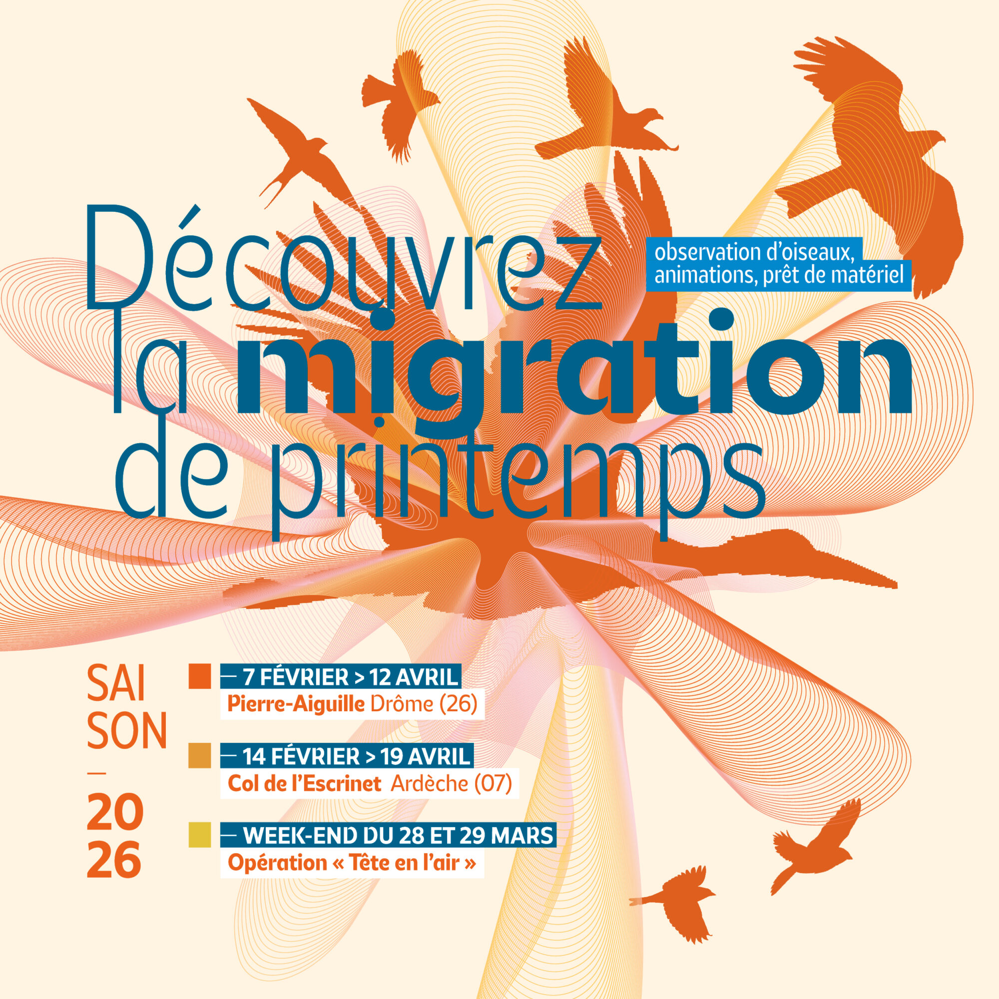 Migration de printemps_1200x1200