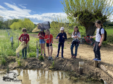 Enfants au bord d'une mare, équipés d'épuisettes.