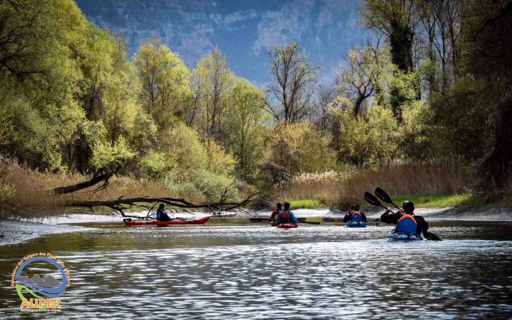 Kayaks sur le Rhône
