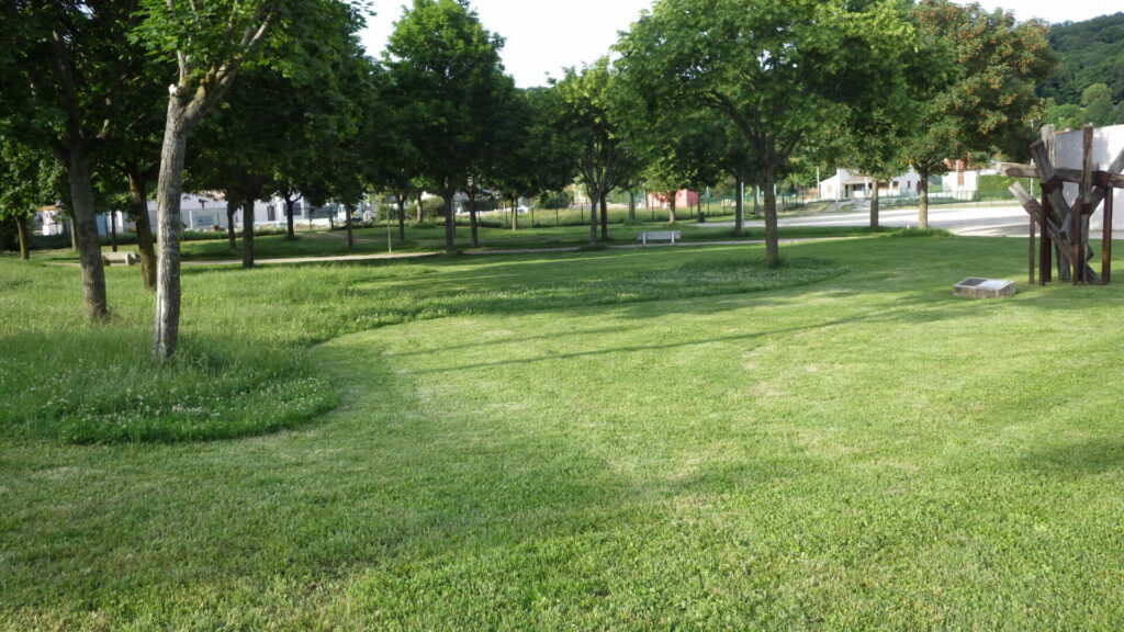 Un parc arboré avec plusieurs hauteurs de tonte