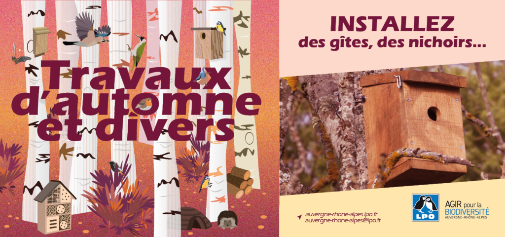 Travaux d'automne et divers – Action n°8 : INSTALLEZ des gîtes, des nichoirs…  - LPO Auvergne-Rhône-Alpes