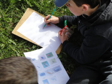 un enfant dessine l'insecte qu'il observe dans une boîte loupe