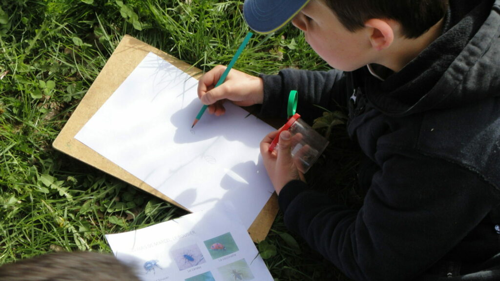 un enfant dessine l'insecte qu'il observe dans une boîte loupe