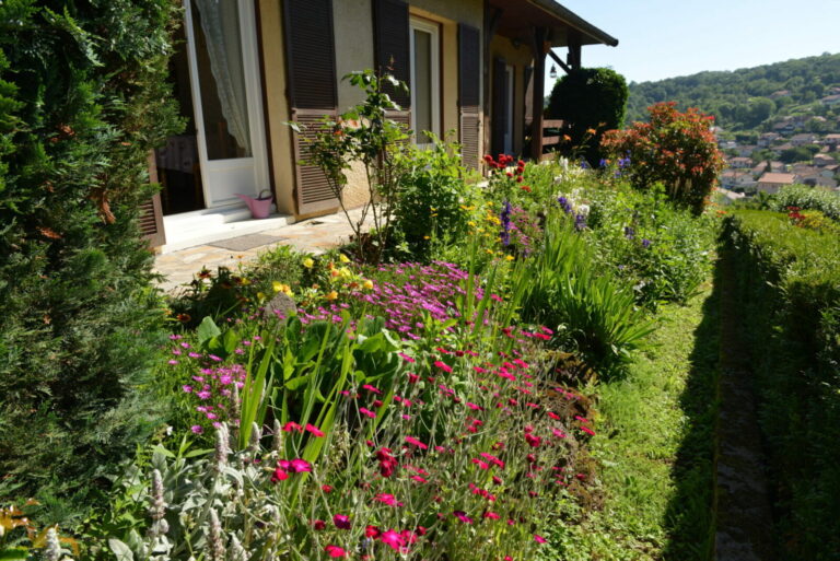 un parterre de fleures sauvages devant une maison dont le jardin est classé Refuge LPO